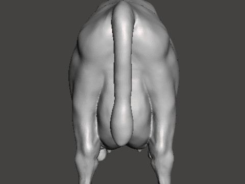 COW FIGURE MODEL ANIMAL CREATURE WILDLIFE ORNAMENT RPG DND 3Dプリントモデル