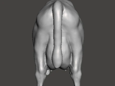 ФІГУРКА КОРОВИ МОДЕЛЬ ТВАРИНА ІСТОТА ДИКА ПРИРОДА ОРНАМЕНТ RPG DND 3D Принт Модель