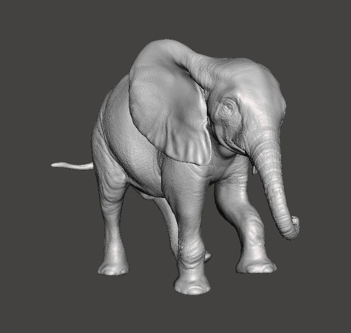 ELEPHANT CALF REALISTIC FIGURE MODEL ANIMAL CREATURE WILDLIFE 3D Print Model .c4d .max .obj .3ds .fbx .stl .blend 