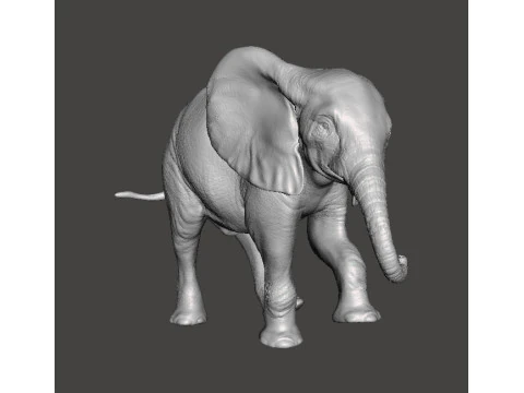 СЛОН ТЕЛЕНОЦ РЕАЛИСТИЧЕСКАЯ ФИГУРА МОДЕЛЬ ЖИВОТНОГО СУЩЕСТВА ДИКОЙ ЖИВОТНОСТИ 3D Принт Модель