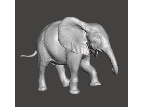 ELEPHANT CALF REALISTIC FIGURE MODEL ANIMAL CREATURE WILDLIFE 3D Print Model