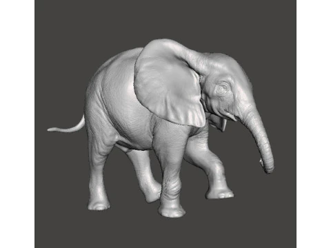 ELEPHANT CALF REALISTIC FIGURE MODEL ANIMAL CREATURE WILDLIFE 3D Print Model