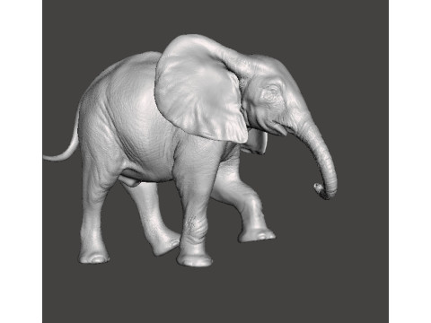 ELEPHANT CALF REALISTIC FIGURE MODEL ANIMAL CREATURE WILDLIFE 3D Print Model