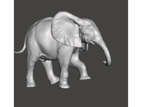 ELEPHANT CALF REALISTIC FIGURE MODEL ANIMAL CREATURE WILDLIFE 3D Print Model