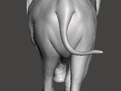ELEPHANT CALF REALISTIC FIGURE MODEL ANIMAL CREATURE WILDLIFE 3D Print Model