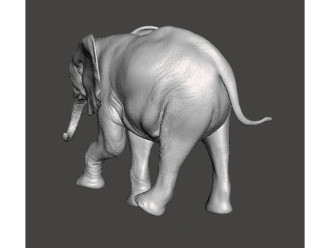 ELEPHANT CALF REALISTIC FIGURE MODEL ANIMAL CREATURE WILDLIFE 3D Print Model
