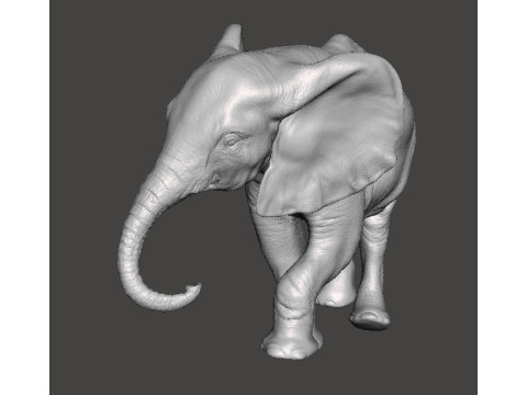 ELEPHANT CALF REALISTIC FIGURE MODEL ANIMAL CREATURE WILDLIFE 3D Print Model
