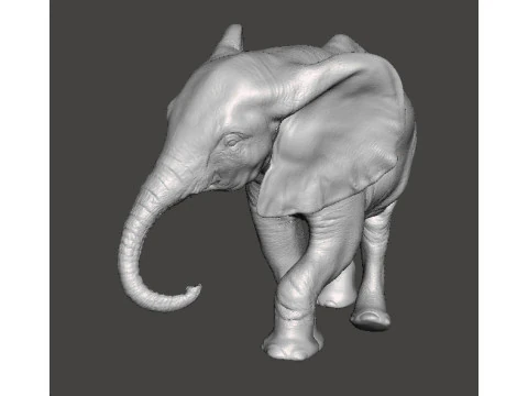 ELEPHANT CALF REALISTIC FIGURE MODEL ANIMAL CREATURE WILDLIFE 3D Print Model