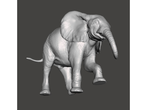 ELEPHANT CALF REALISTIC FIGURE MODEL ANIMAL CREATURE WILDLIFE 3D Print Model
