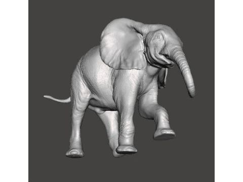 ELEPHANT CALF REALISTIC FIGURE MODEL ANIMAL CREATURE WILDLIFE 3D Print Model