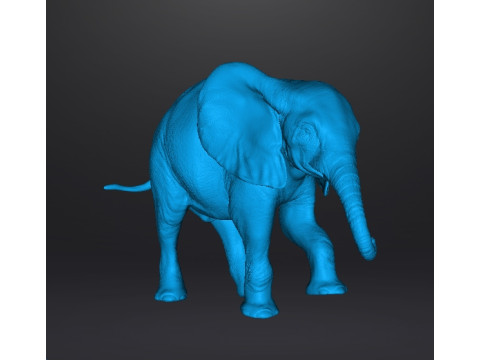 ELEPHANT CALF REALISTIC FIGURE MODEL ANIMAL CREATURE WILDLIFE 3D Print Model