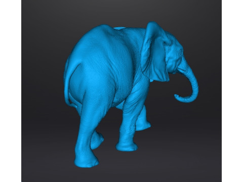 ELEPHANT CALF REALISTIC FIGURE MODEL ANIMAL CREATURE WILDLIFE 3D Print Model
