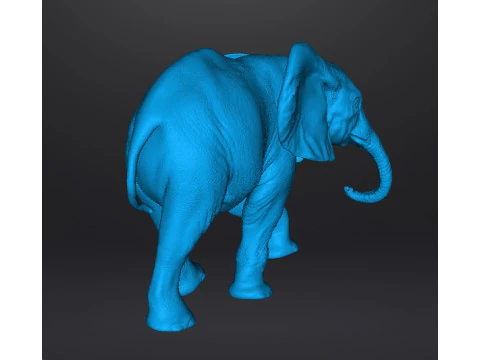 ELEPHANT CALF REALISTIC FIGURE MODEL ANIMAL CREATURE WILDLIFE 3D Print Model