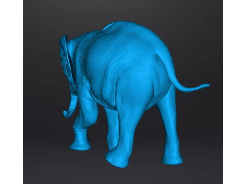 ELEPHANT CALF REALISTIC FIGURE MODEL ANIMAL CREATURE WILDLIFE 3D Print Model
