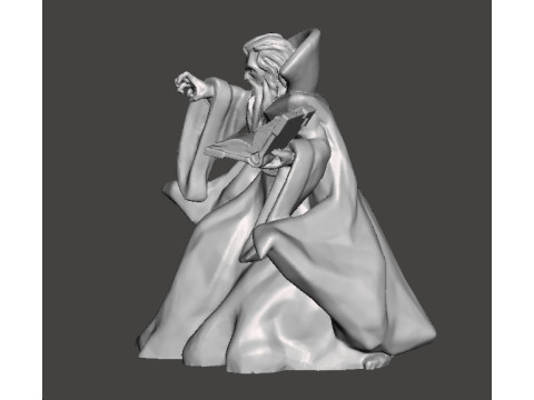 ZORGON EVIL WIZARD MINIATURE MODEL FOR FANTASY GAMES RPG DND 3D-Druckmodell