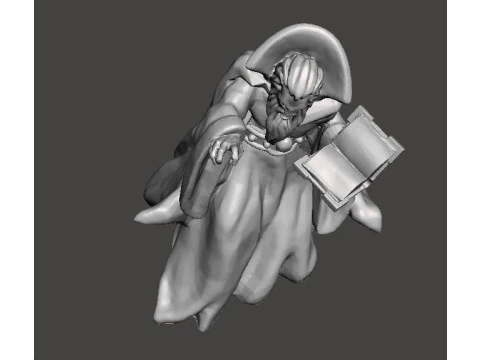 ZORGON EVIL WIZARD MINIATURE MODEL FOR FANTASY GAMES RPG DND 3D Print Model