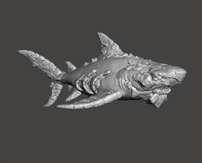 STONE SHARK MINIATURE MODEL FIGURE FOR FANTASY GAMES RPG DND 3D प्रिंट मॉडल .c4d .max .obj .3ds .fbx .stl .blend