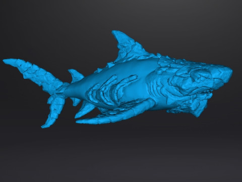 STONE SHARK MINIATURE MODEL FIGURE FOR FANTASY GAMES RPG DND 3D प्रिंट मॉडल