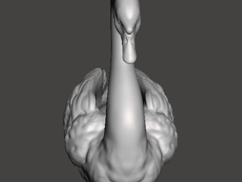 CYGNE FIGURINE R&Eacute;ALISTE MOD&Egrave;LE CR&Eacute;ATURE ANIMALE FAUNE NATURE Modèles 3D en vedette