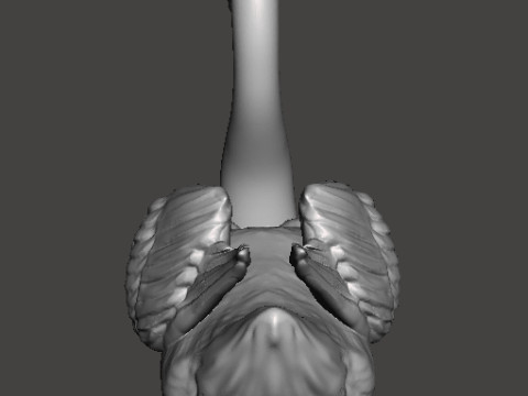 SWAN REALISTIC FIGURE MODEL ANIMAL CREATURE WILDLIFE NATURE 3D Baskı Modeli