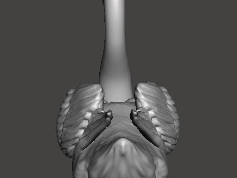 CYGNE FIGURINE R&Eacute;ALISTE MOD&Egrave;LE CR&Eacute;ATURE ANIMALE FAUNE NATURE Modèles 3D en vedette