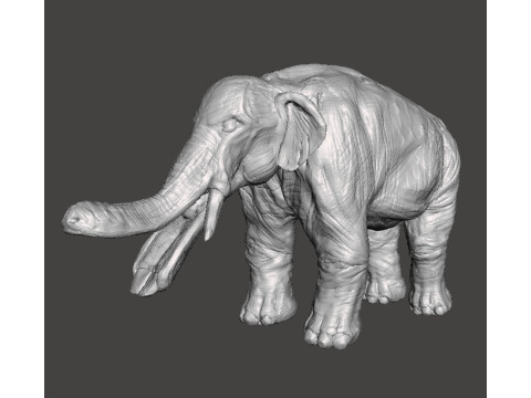 PLATYBELODON TOY FIGURE MINIATURE MODEL CREATURE MONSTER DND RPG Modelo de impresión 3D
