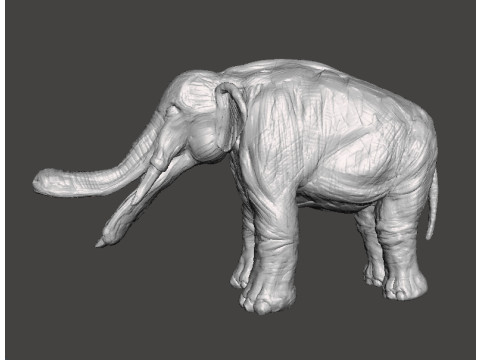 PLATYBELODON TOY FIGURE MINIATURE MODEL CREATURE MONSTER DND RPG Modelo de impresión 3D