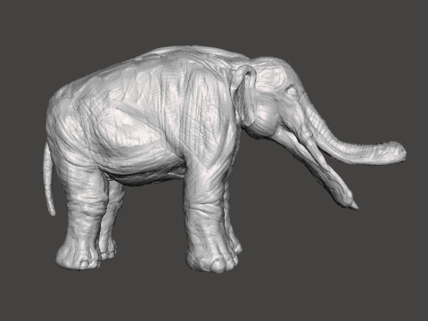 PLATYBELODON TOY FIGURE MINIATURE MODEL CREATURE MONSTER DND RPG Modelo de impresión 3D