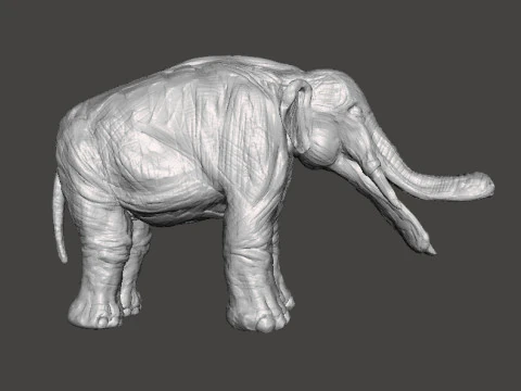 PLATYBELODON TOY FIGURE MINIATURE MODEL CREATURE MONSTER DND RPG 3D Print Model