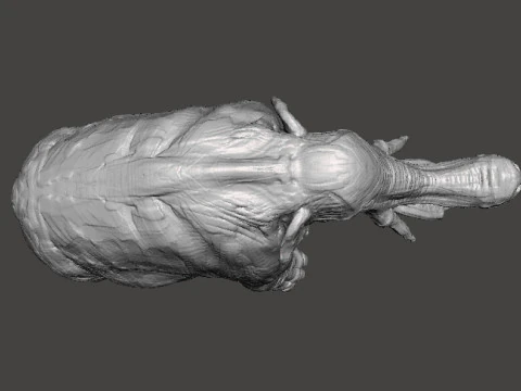 PLATYBELODON TOY FIGURE MINIATURE MODEL CREATURE MONSTER DND RPG 3D Print Model