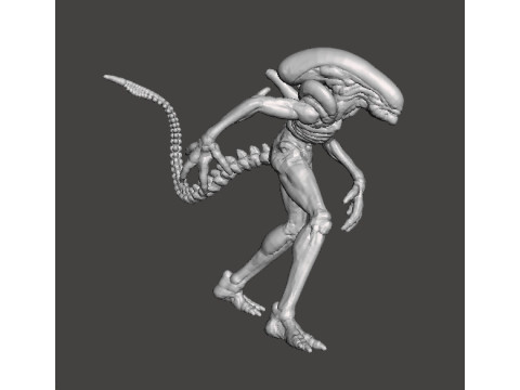 ALIEN XENOMORPH MINIATURE MODEL FOR SCIFI AND FANTASY GAMES RPG DND 3D Print Model