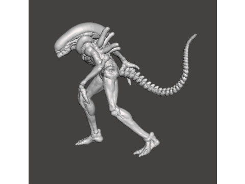 ALIEN XENOMORPH MINIATURE MODEL FOR SCIFI AND FANTASY GAMES RPG DND 3D Print Model