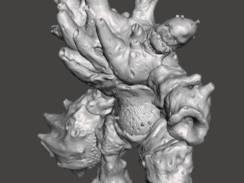 DIRTY COLOSSUS MINIATURE MODEL FOR FANTASY GAMES RPG DND 3D 打印模型