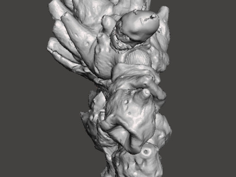 DIRTY COLOSSUS MINIATURE MODEL FOR FANTASY GAMES RPG DND 3D 打印模型