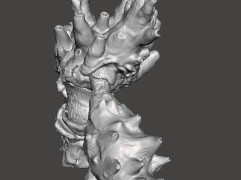 DIRTY COLOSSUS MINIATURE MODEL FOR FANTASY GAMES RPG DND 3D 打印模型
