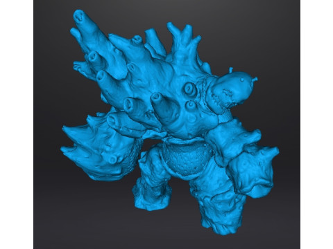 DIRTY COLOSSUS MINIATURE MODEL FOR FANTASY GAMES RPG DND 3D 打印模型