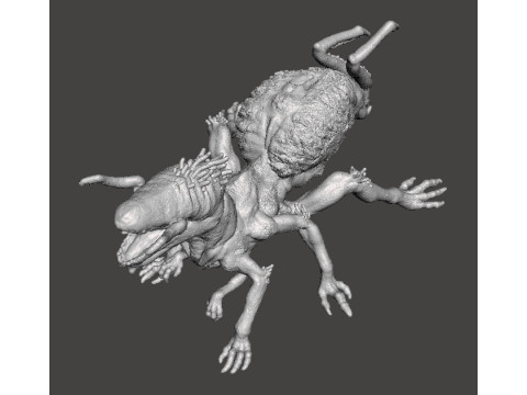 QUEEN CRAWLER MINIATURE MODEL FIGURE FOR FANTASY OR HORROR GAMES RPG DND 3Dプリントモデル