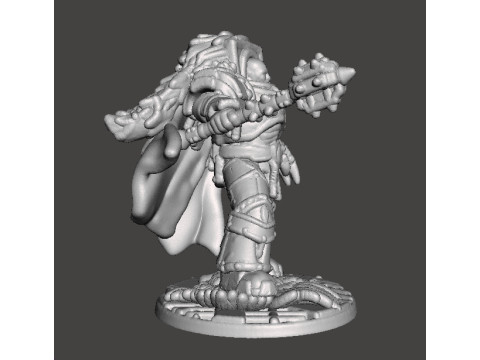 6MM SCALE HERETIC WARLORD MINIATURE MODEL FOR SCIFI OR FANTASY GAMES Modello di stampa 3D