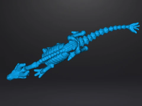 6MM SCALE KRAYT DRAGON SKELETON MINIATURE MODEL FOR SCIFI OR FANTASY GAMES EPIC 3D Print Model
