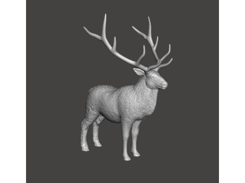 DEER STATUE ORNAMENT REALISTIC SCULPTURE FIGURE MODEL ANIMAL WILDLIFE 3D printmodel