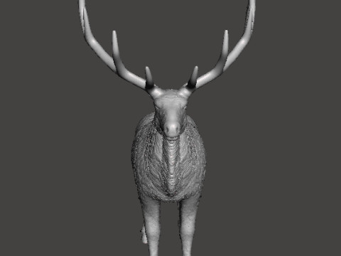 DEER STATUE ORNAMENT REALISTIC SCULPTURE FIGURE MODEL ANIMAL WILDLIFE 3D Принт Модель