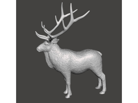 DEER STATUE ORNAMENT REALISTIC SCULPTURE FIGURE MODEL ANIMAL WILDLIFE 3D Принт Модель