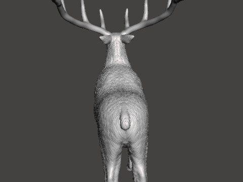 DEER STATUE ORNAMENT REALISTIC SCULPTURE FIGURE MODEL ANIMAL WILDLIFE 3D Принт Модель