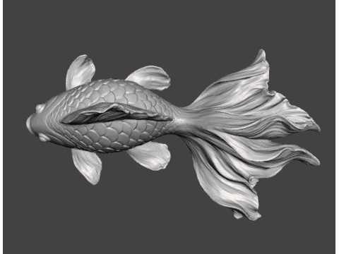 REALISTIC GOLDFISH SCULPTURE FIGURE MODEL PET STATUE 3D 打印模型