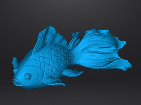 REALISTIC GOLDFISH SCULPTURE FIGURE MODEL PET STATUE 3D 打印模型