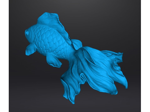 REALISTIC GOLDFISH SCULPTURE FIGURE MODEL PET STATUE 3D 打印模型