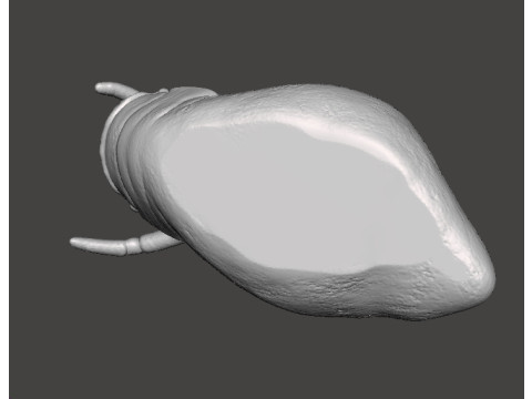 ALIEN STORM SNAIL DRUM MONSTER CREATURE MODEL FIGURE FOR HORROR AND FANTASY GAMES RPG DND 3D Print Model