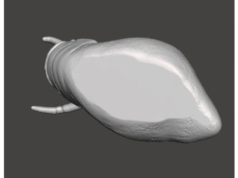 ALIEN STORM SNAIL DRUM MONSTER CREATURE MODEL FIGURE FOR HORROR AND FANTASY GAMES RPG DND 3D Print Model