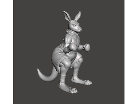 STREETS OF RAGE ROO MINIATURE MODEL FOR FANTASY GAMES RPG DND Model do druku 3D