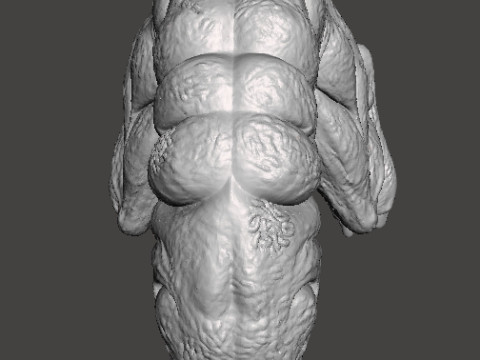 GIANT BOREWORM MODEL FIGURE FOR HORROR AND FANTASY GAMES RPG DND 3D Принт Модель